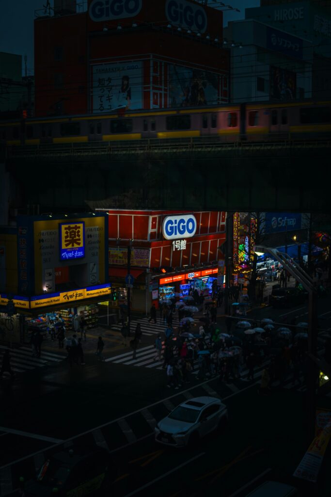 Akihabara: GiGO